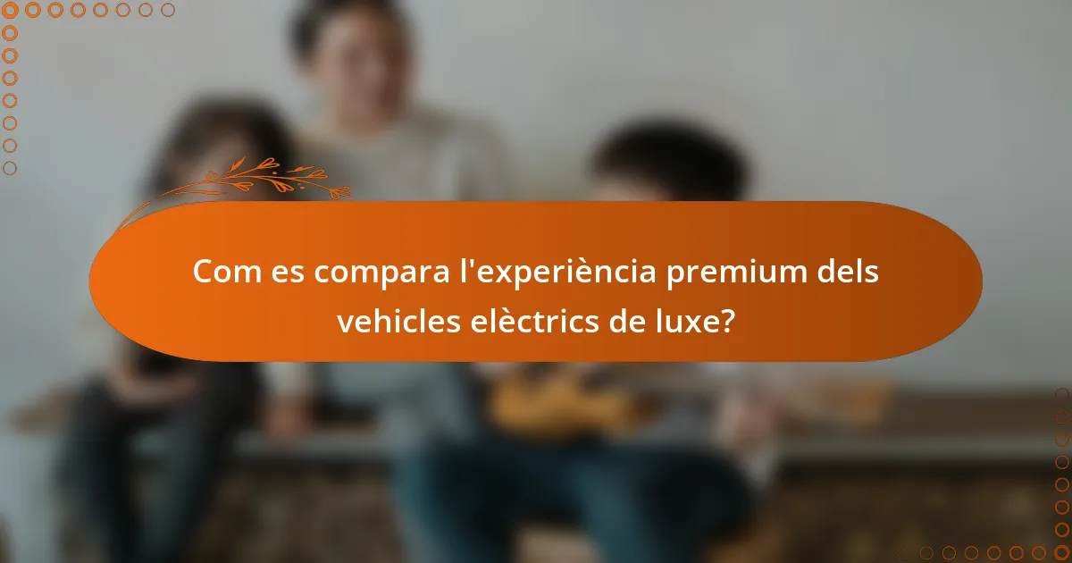 Com es compara l'experiència premium dels vehicles elèctrics de luxe?