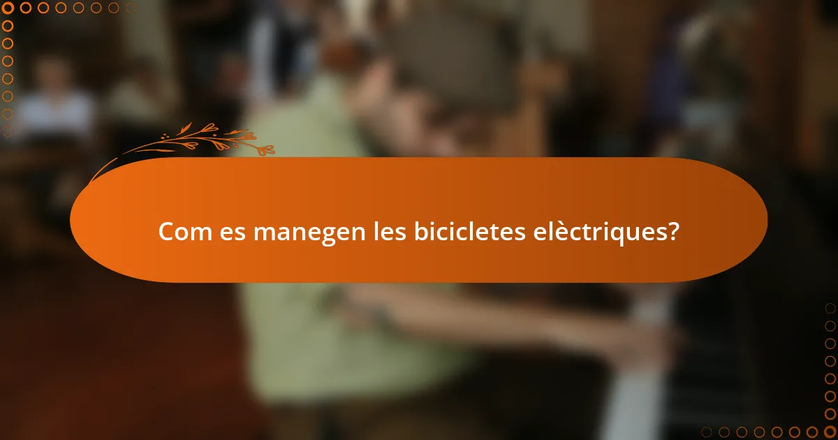 Com es manegen les bicicletes elèctriques?