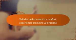 Vehicles de luxe elèctrics: confort, experiència premium, valoracions