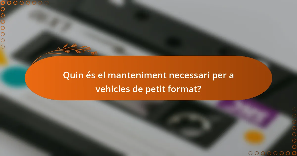 Quin és el manteniment necessari per a vehicles de petit format?