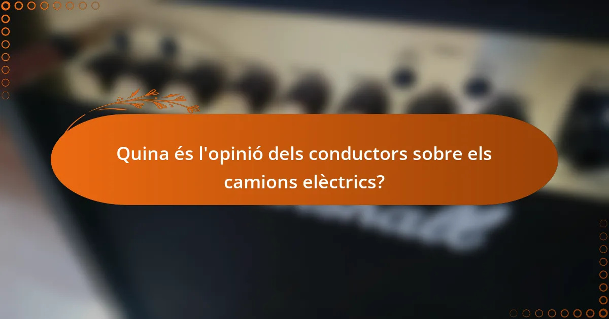 Quina és l'opinió dels conductors sobre els camions elèctrics?