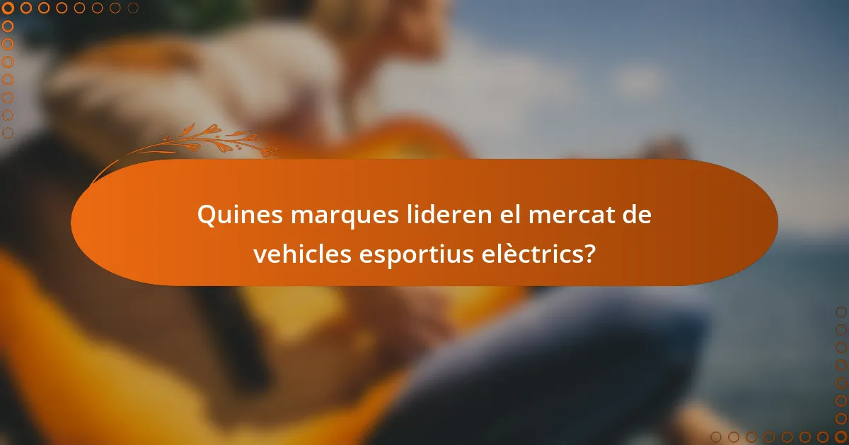 Quines marques lideren el mercat de vehicles esportius elèctrics?