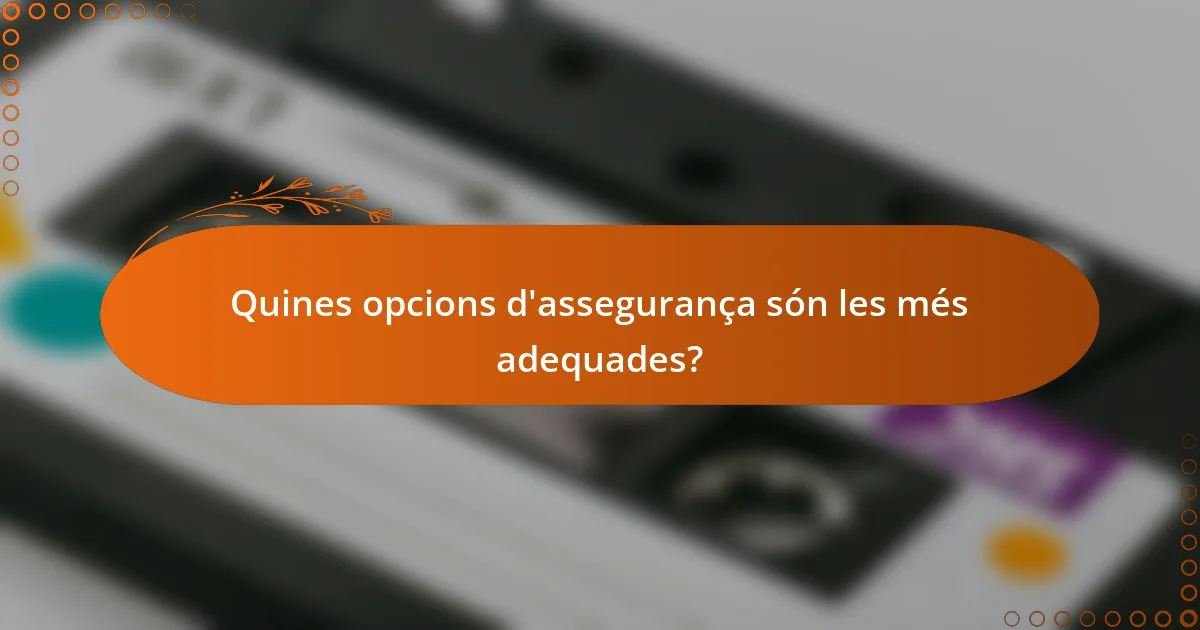 Quines opcions d'assegurança són les més adequades?