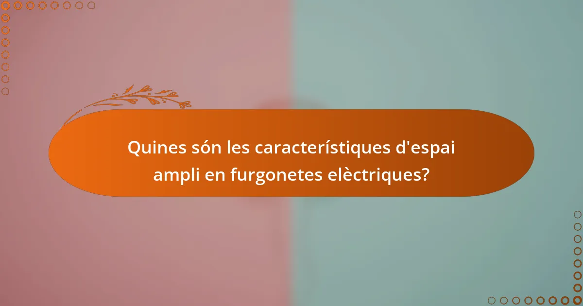 Quines són les característiques d'espai ampli en furgonetes elèctriques?