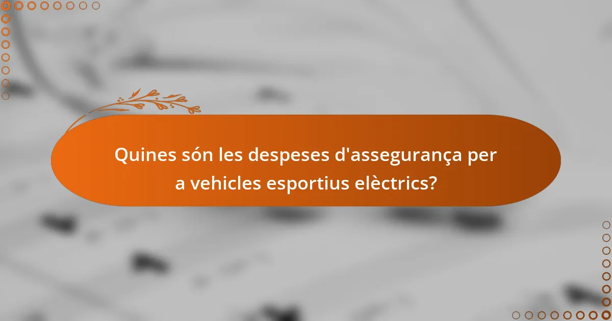 Quines són les despeses d'assegurança per a vehicles esportius elèctrics?