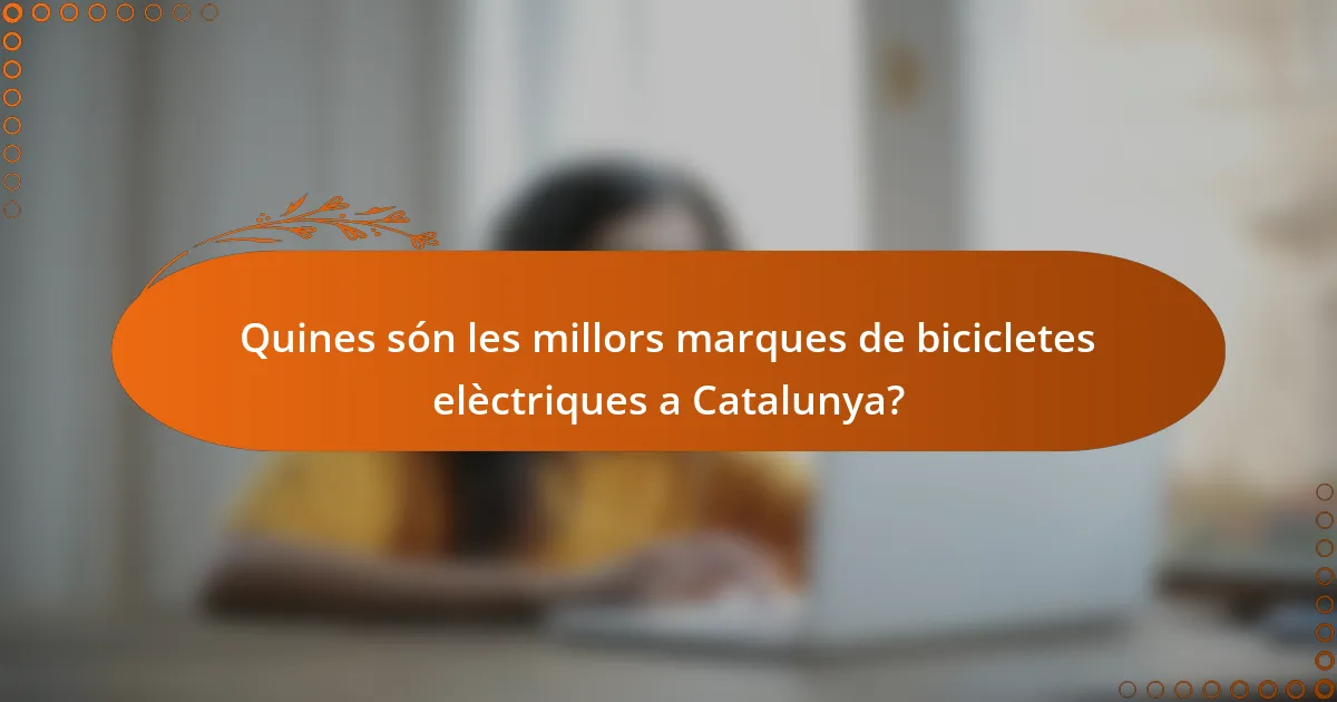 Quines són les millors marques de bicicletes elèctriques a Catalunya?