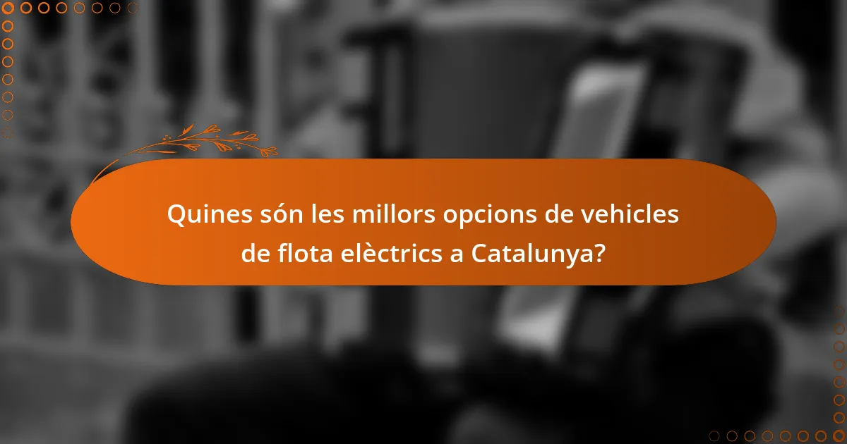 Quines són les millors opcions de vehicles de flota elèctrics a Catalunya?