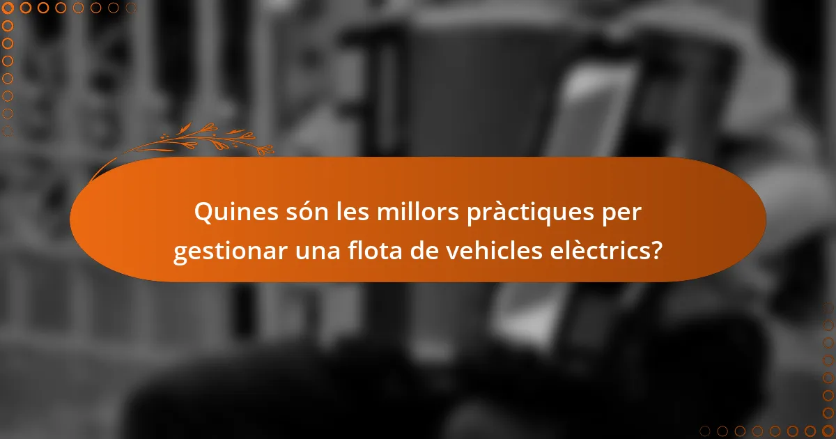 Quines són les millors pràctiques per gestionar una flota de vehicles elèctrics?