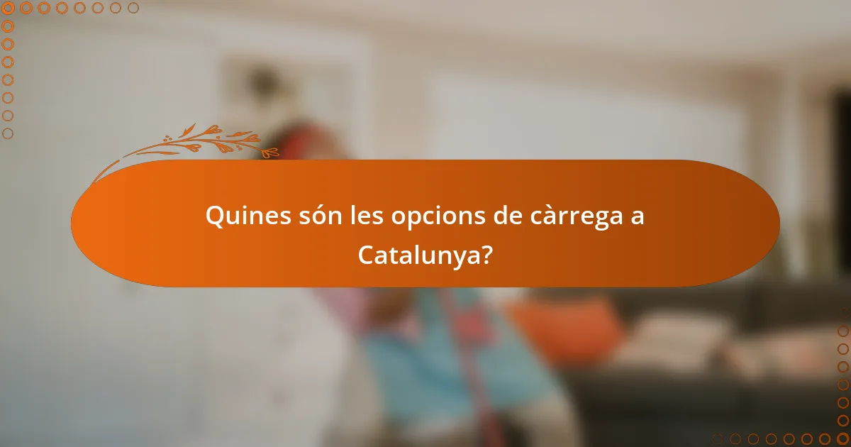 Quines són les opcions de càrrega a Catalunya?