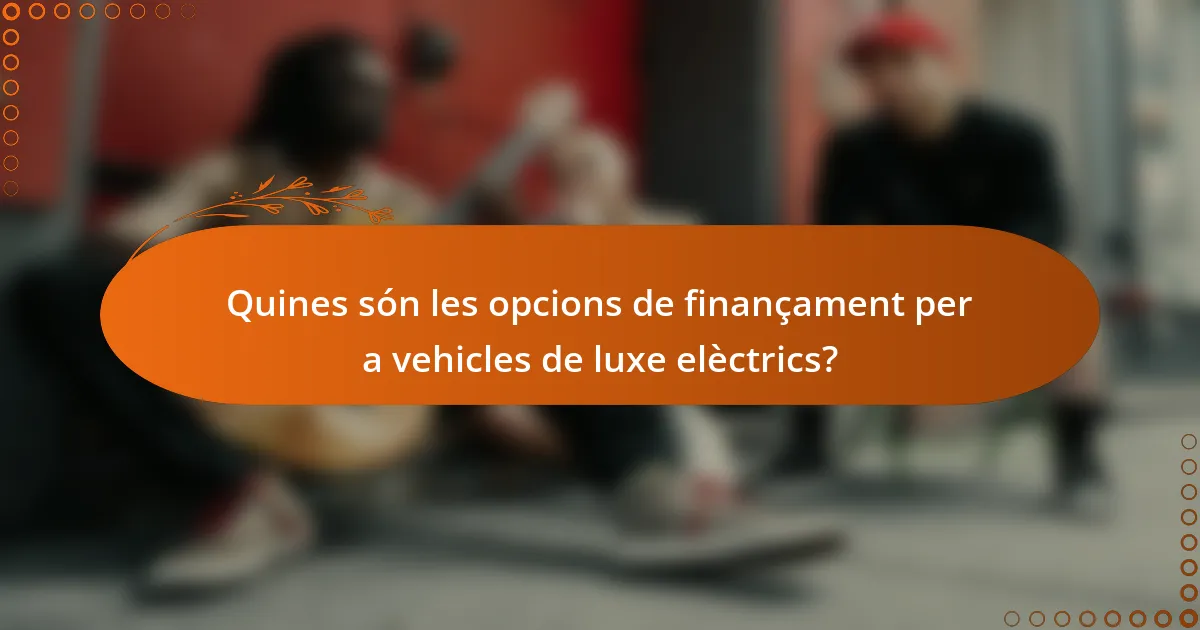 Quines són les opcions de finançament per a vehicles de luxe elèctrics?