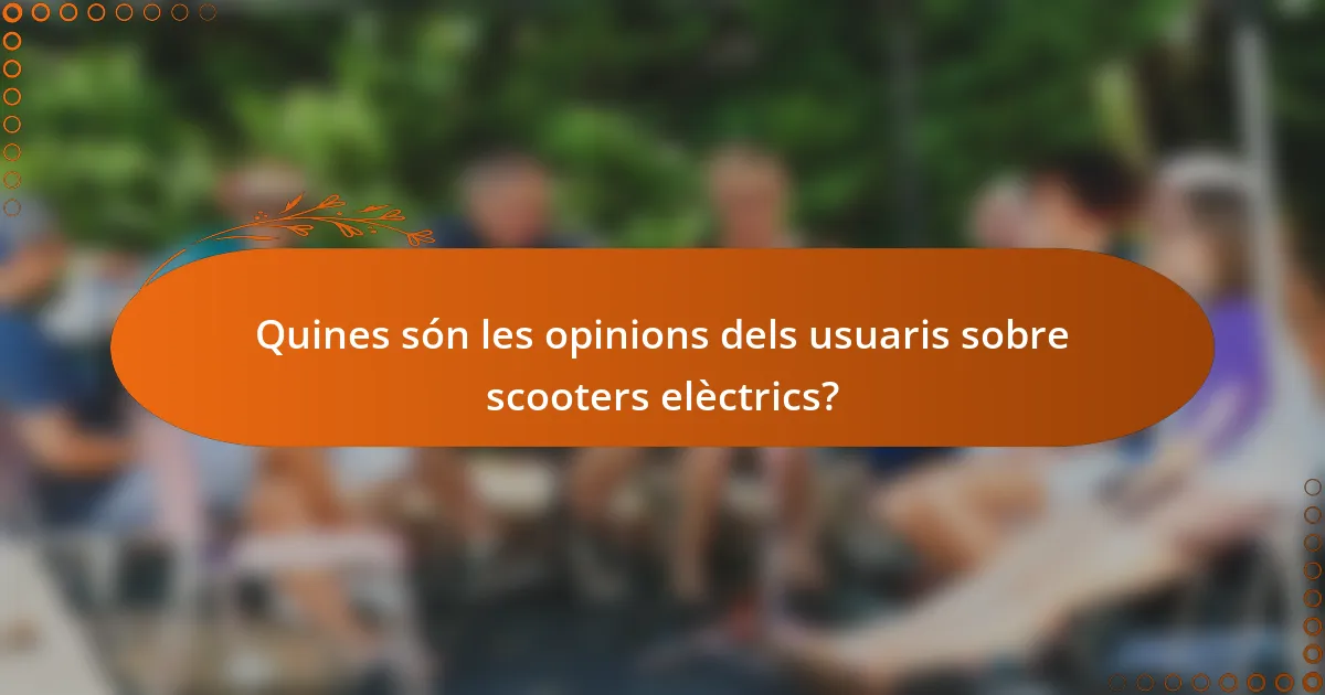 Quines són les opinions dels usuaris sobre scooters elèctrics?