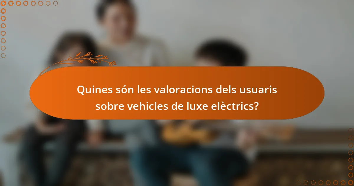Quines són les valoracions dels usuaris sobre vehicles de luxe elèctrics?