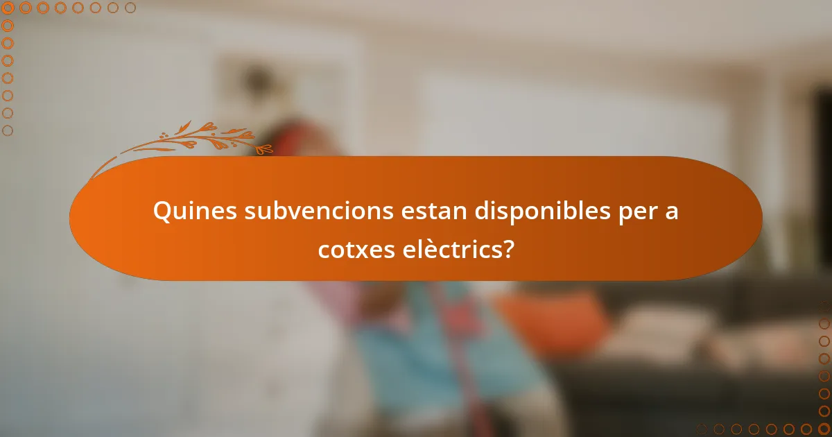 Quines subvencions estan disponibles per a cotxes elèctrics?