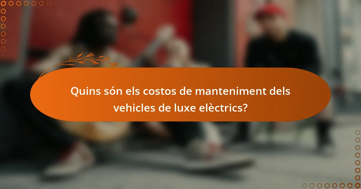 Quins són els costos de manteniment dels vehicles de luxe elèctrics?