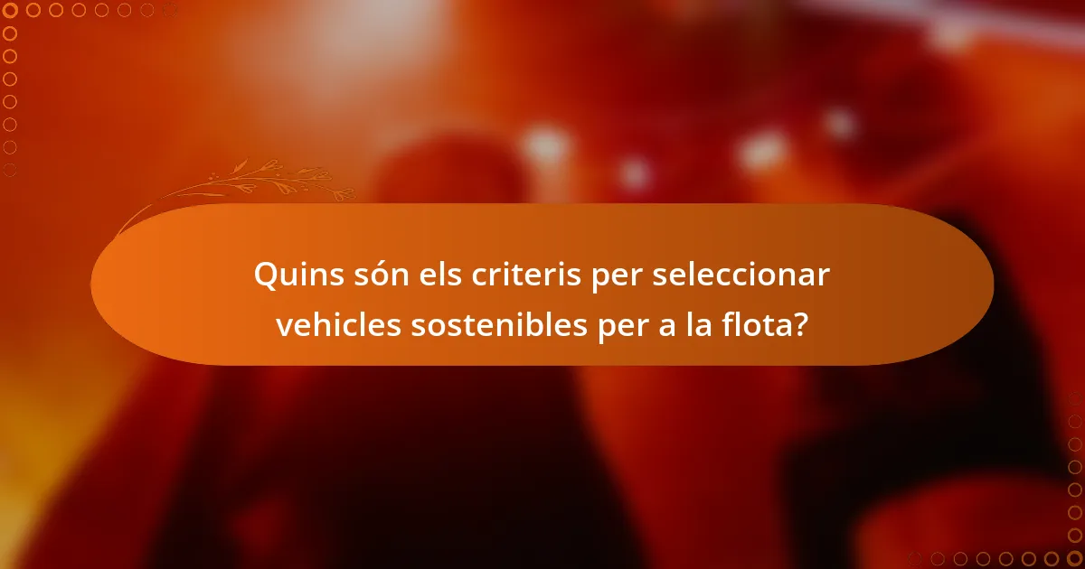 Quins són els criteris per seleccionar vehicles sostenibles per a la flota?