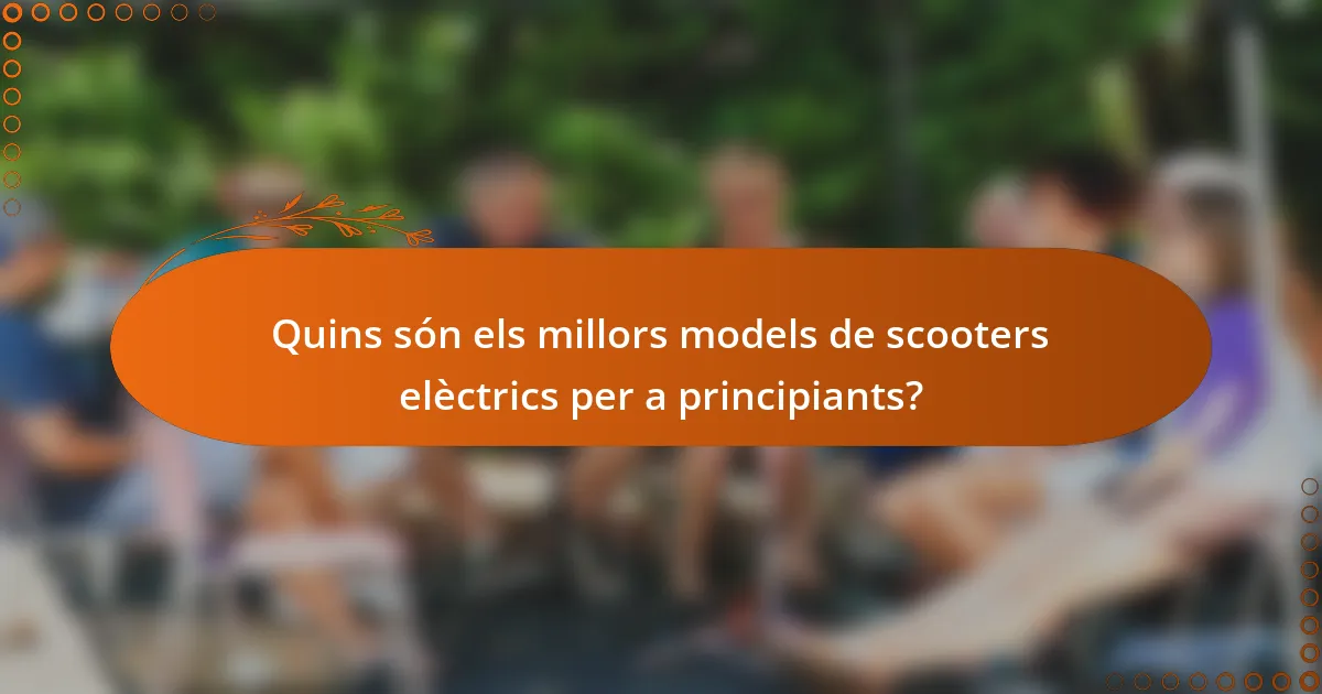 Quins són els millors models de scooters elèctrics per a principiants?