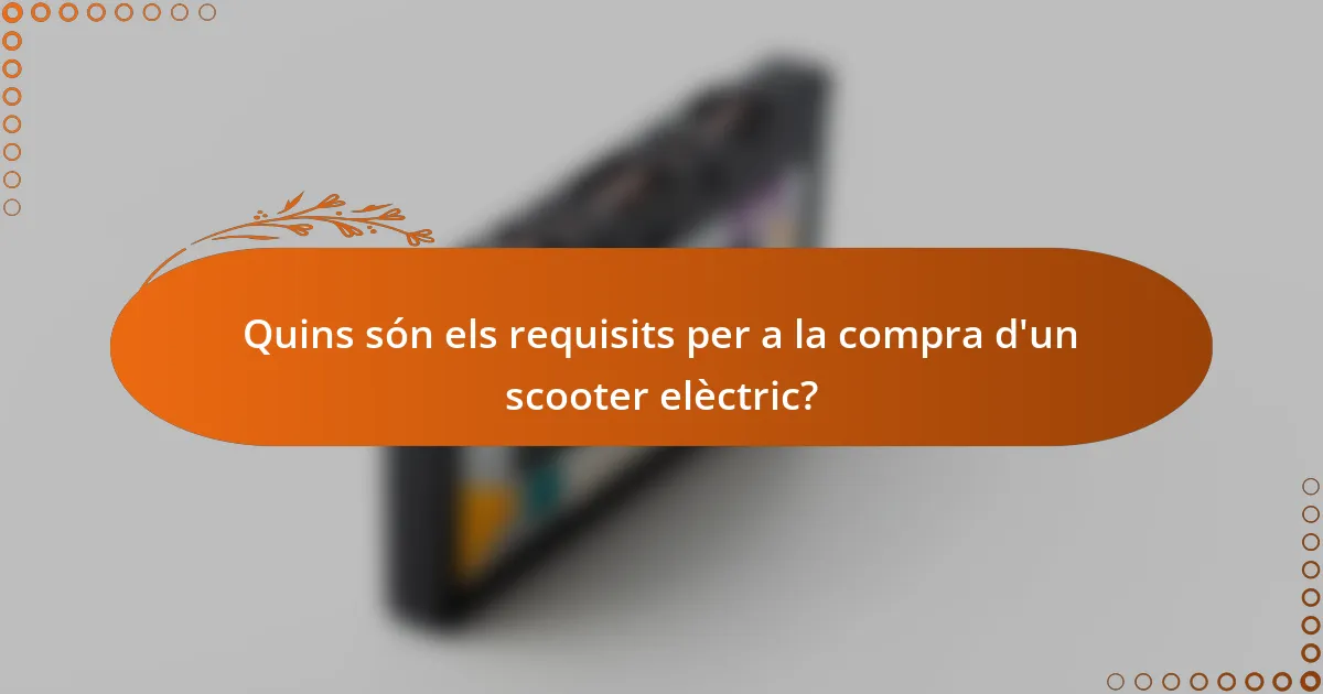 Quins són els requisits per a la compra d'un scooter elèctric?