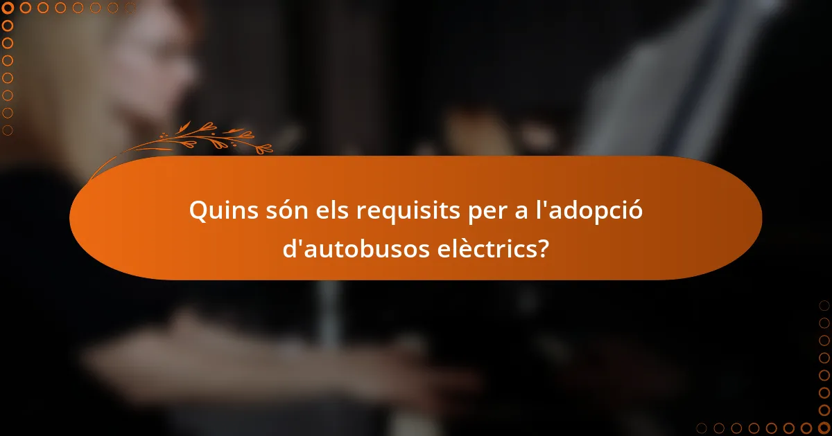 Quins són els requisits per a l'adopció d'autobusos elèctrics?